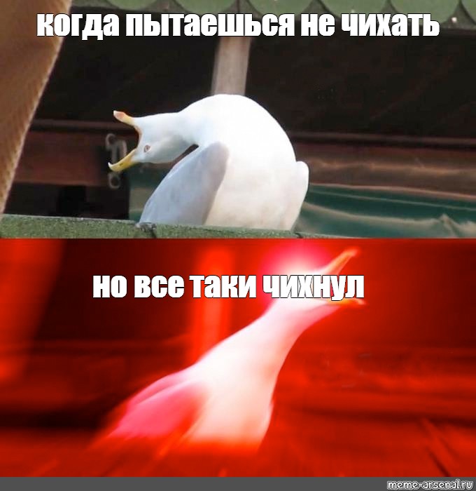 Вряд ли все таки