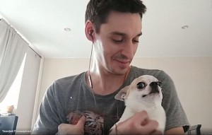 Create meme: dog, Chihuahua dog, Chihuahua