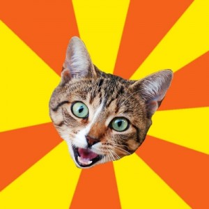 Create meme: meme generator, cat, meow