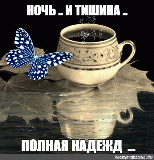 ночь и тишина полная надежд