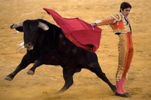 Create meme: Spanish bullfight, bullfighting, bullfight