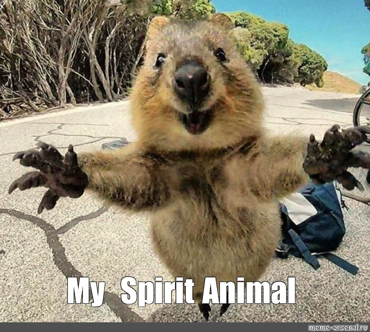 Meme: quot My Spirit Animal quot All Templates Meme arsenal com
