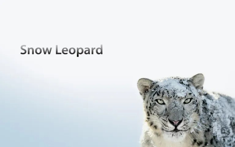 Create meme: snow leopard, IRBIS snow leopard, snow leopard snow leopard grin