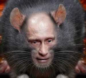 Create meme: rats, rat, The Kremlin rat