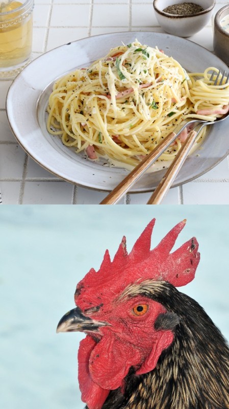 Create meme: rooster , the head of the cock , black cock with a red crest