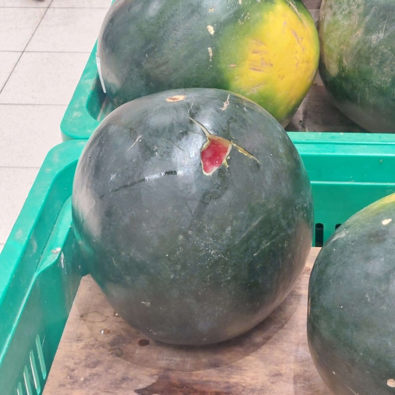 Create meme: watermelons, watermelon black prince, varieties of watermelon