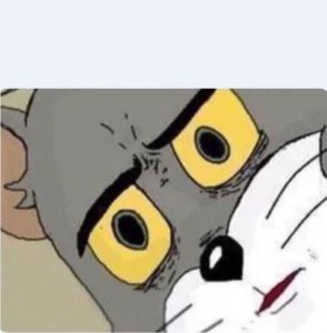 Create meme: the meme, drawn character, surprised Tom cat meme