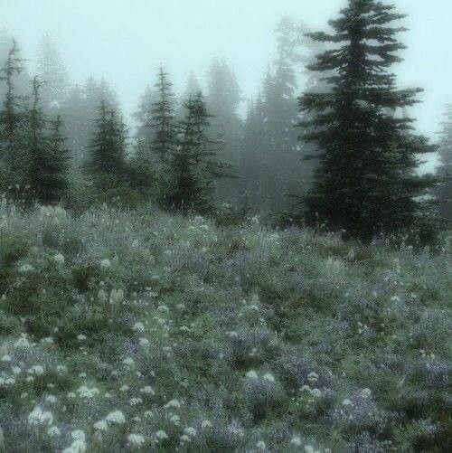 Create meme: fairy grunge, gloom core aesthetic, nature landscape