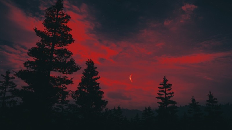 Create meme: night moon forest, sunset in the forest, crimson sunset in the forest
