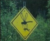 Создать мем: знак осторожно, смешные дорожные знаки, знак осторожно комары