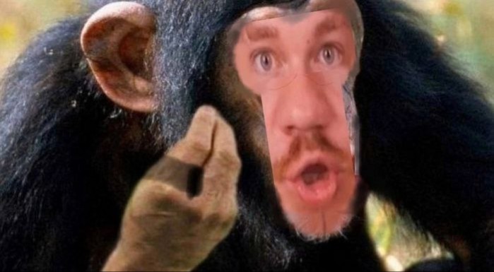 Create meme: male chimpanzee, chimp meme, meme monkey 