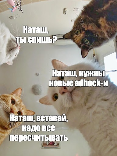 Наташа Ты Спишь Коты Картинки