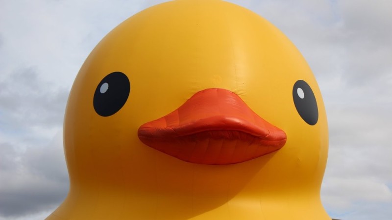 Create meme: big rubber duck, yellow duck, rubber duck