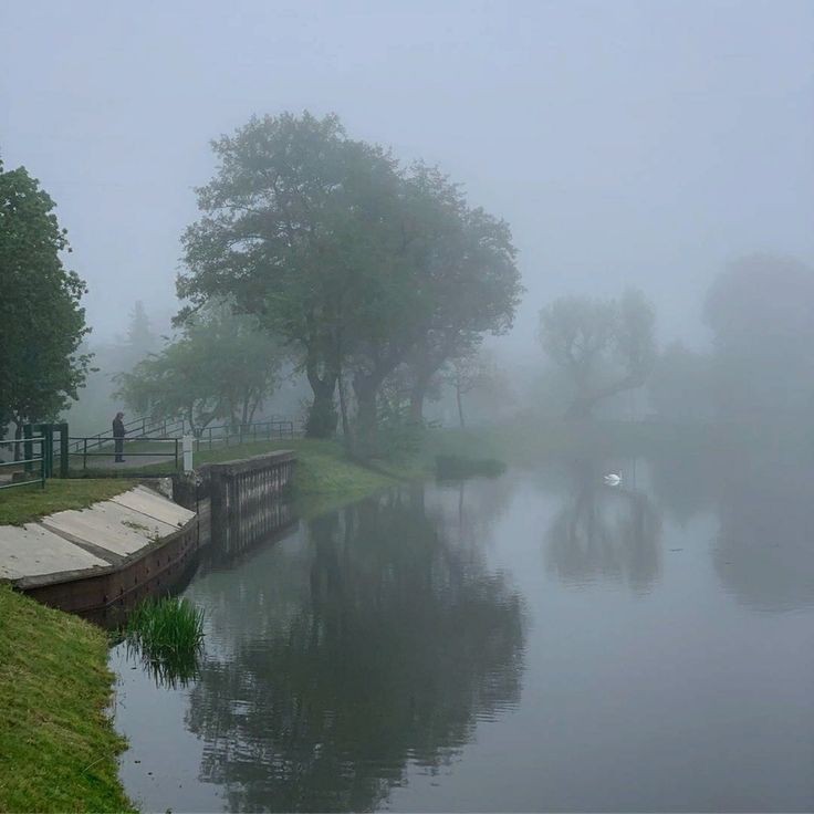 Create meme: morning mist , fog , morning fog 