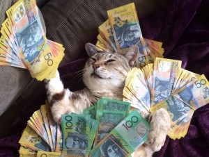 Create meme: cat with money, cat with money, cat with money