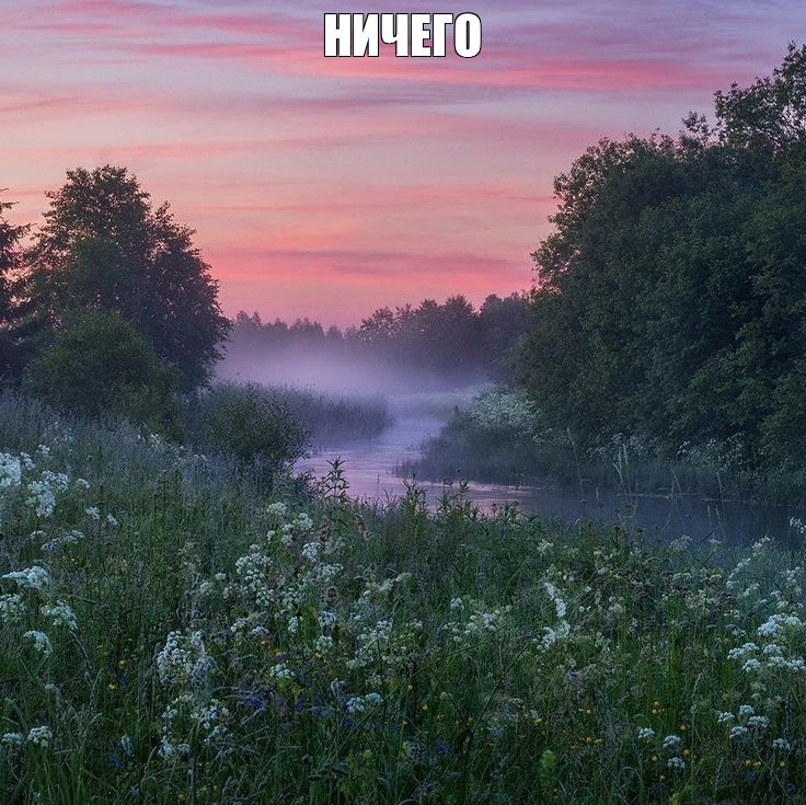 Create meme: fog in summer, landscapes nature, fog over the river