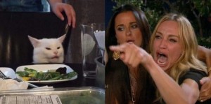 Создать мем: мемы с котом в ресторане, мем кошка, мем женщина и кот за столом