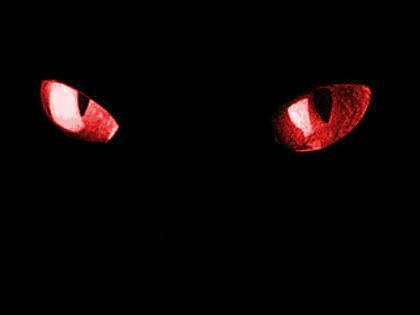 Create meme: red eyes on black background, eyes in the darkness, red eyes