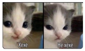 Create meme: cat, weeping cats memes, cat