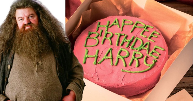 Create meme: Harry Potter cake from Hagrid, Harry Potter hagrid cake, Harry Potter Hagrid