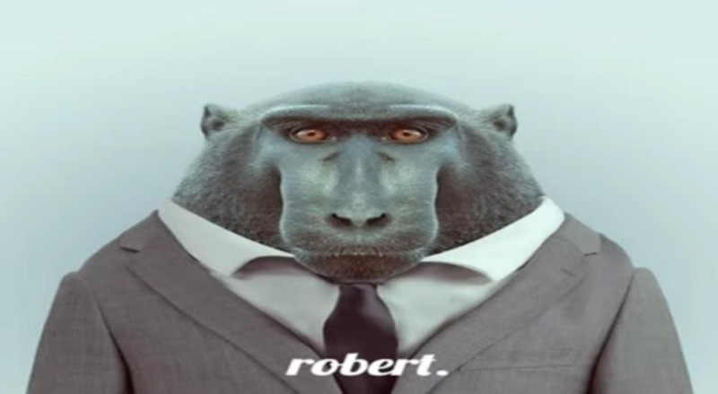 Create meme: robert macaque, monkey in a jacket, animals in a jacket