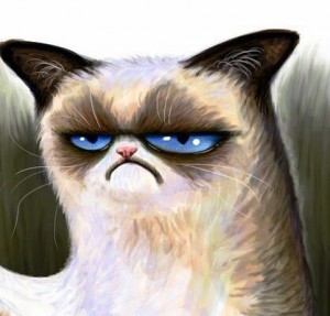 Create meme: grumpy cat, a cat with a sign, good cat