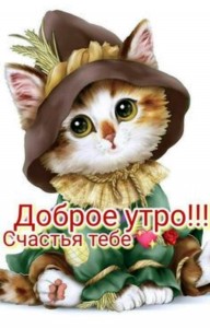 Create meme: cute cats, Cat, cartoon cats pictures