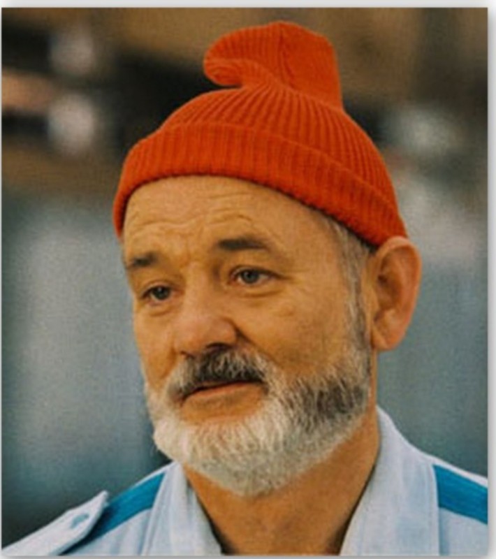 Create meme: Bill Murray Steve Zissou, Bill Murray 1990, Bill Murray in the Red Hat