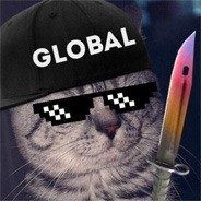 Create meme: hi, playing cs go, cat