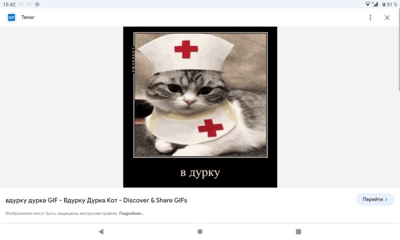 Создать мем: коты врачи, дурка, с днем медработника кот