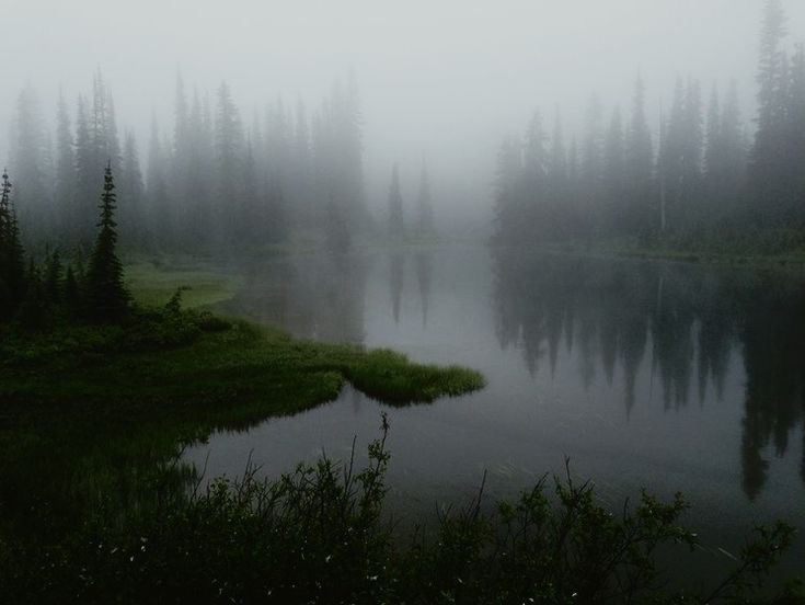 Create meme: foggy lake ergaki, lake of artists ergaki in the fog, lake in the fog