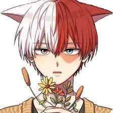 Create meme: Shoto todoroki, todoroki, todoroki shota