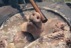 Create meme: pig mud, destruction, dead man