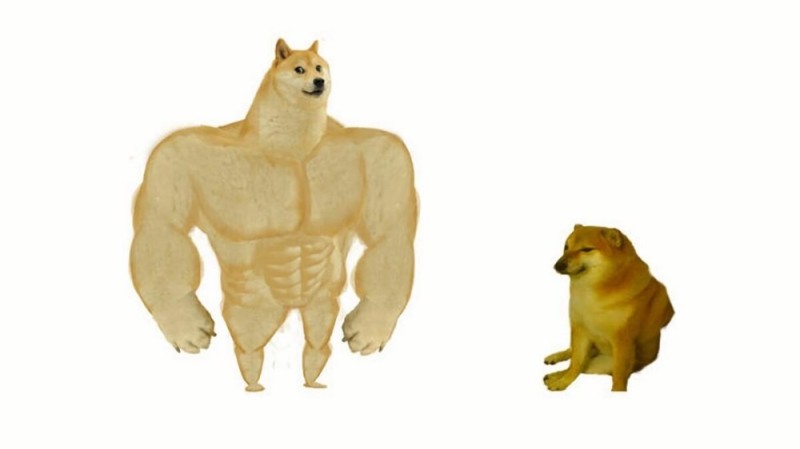 Create meme: dog Jock, doge Jock, the dog is a jock meme