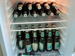 Create meme: alcohol, alcohol, refrigerator for beer