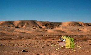 Create meme: desert, Crazy spongebob