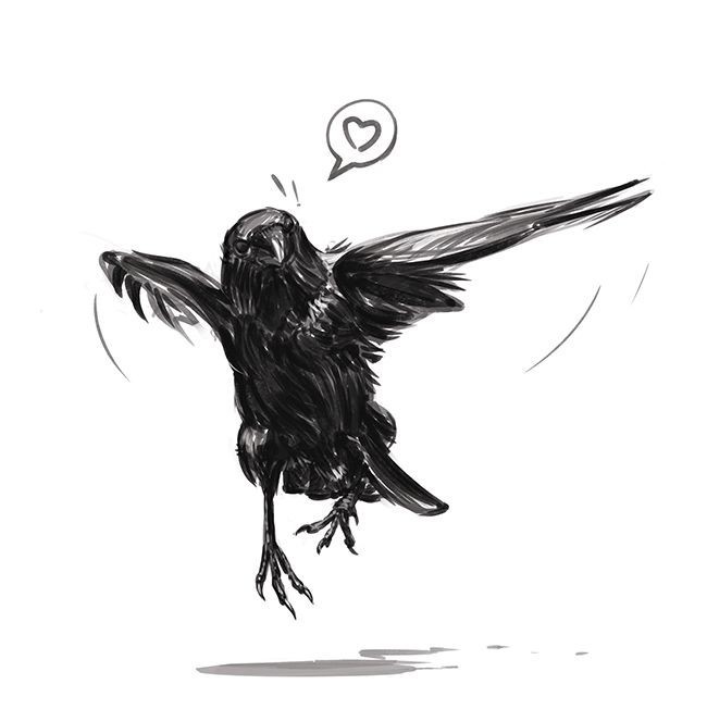 Create meme: crow , raven's drawings, The raven for drawing