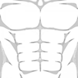 Create meme: muscle get, shirt roblox