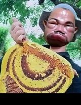 Create meme: Chinese beekeeper, The wild bee, Kaka Ricardo