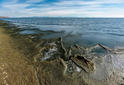 Create meme: Baikal algae spirogyra, pollution of Lake Baikal, Baikal without water