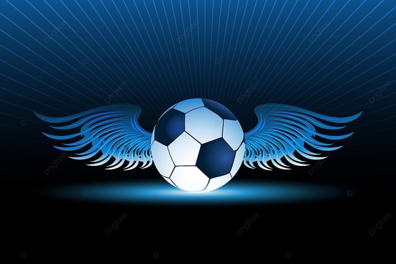 Create meme: football logo with wings, logo soccer ball with wings, soccer ball with wings