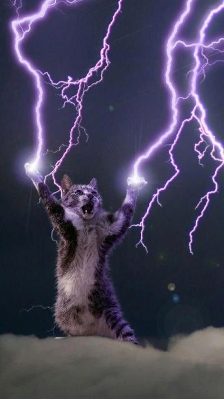 Create meme: cat with lightning bolts, cat with lightning bolts from paws, lightning cat