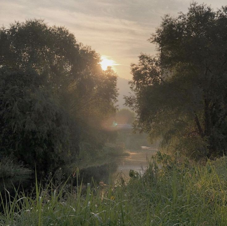 Create meme: summer morning, morning on the river, dawn river fog