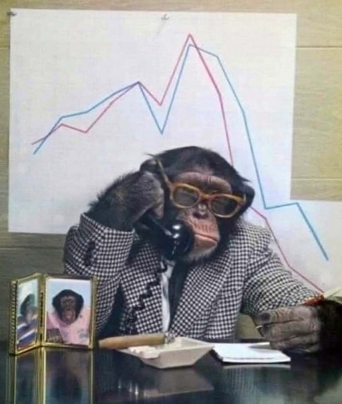Create meme: people , monkey banker, funny chimpanzee