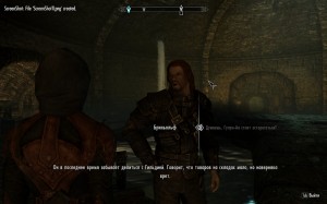 Create meme: game Skyrim, Skyrim mods