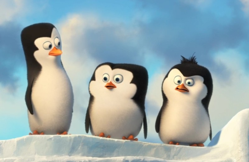 Создать мем: пингвины мадагаскара, пингвины мадагаскара маленькие, пингвины из мадагаскара рико