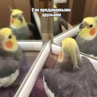 Создать мем: null