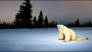 Create meme: bear , polar bear day, arctic polar bear