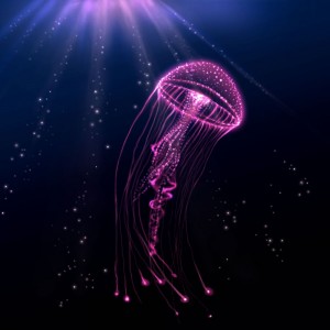 Create meme: jellyfish dark, live Wallpaper of a moving jellyfish, Medusa