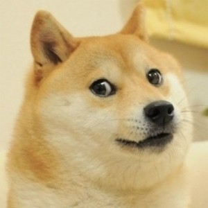 Create meme: Dog surprised